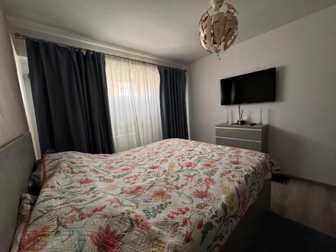 Apartament Alexe