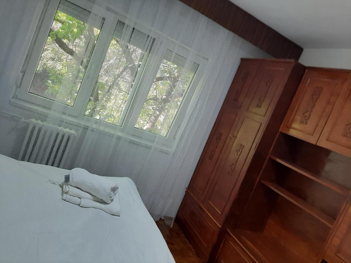 Apartament Anica Felix