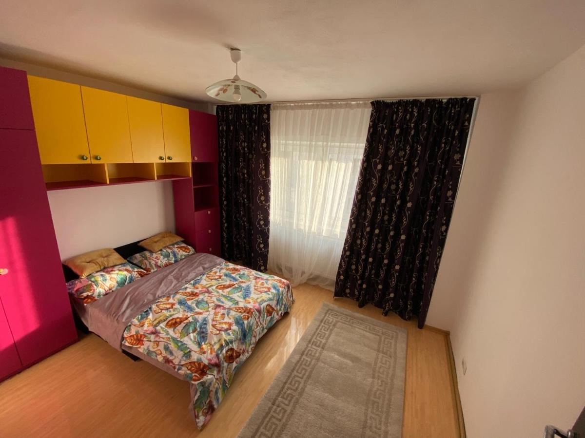 Apartament cozy