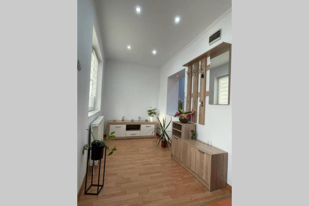 Apartament Cristina - Băile 1 Mai, Felix, Bihor, reducere jumătate intrare Aquapark President