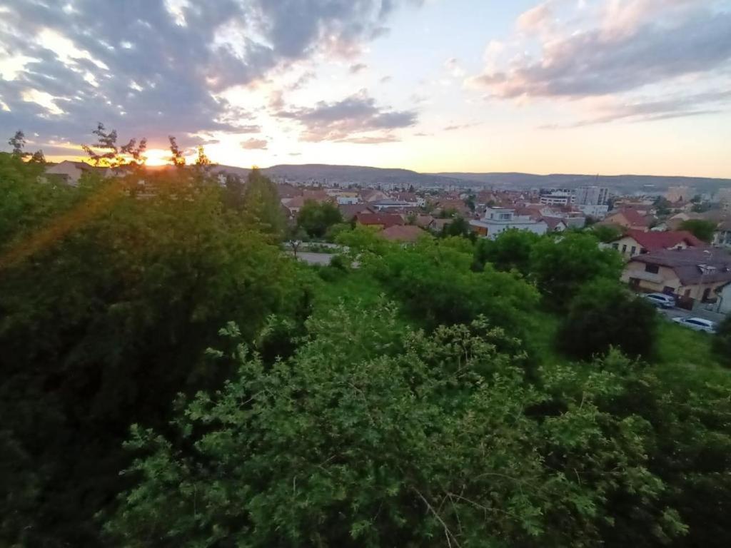 Apartament de lux cu vedere spre oras