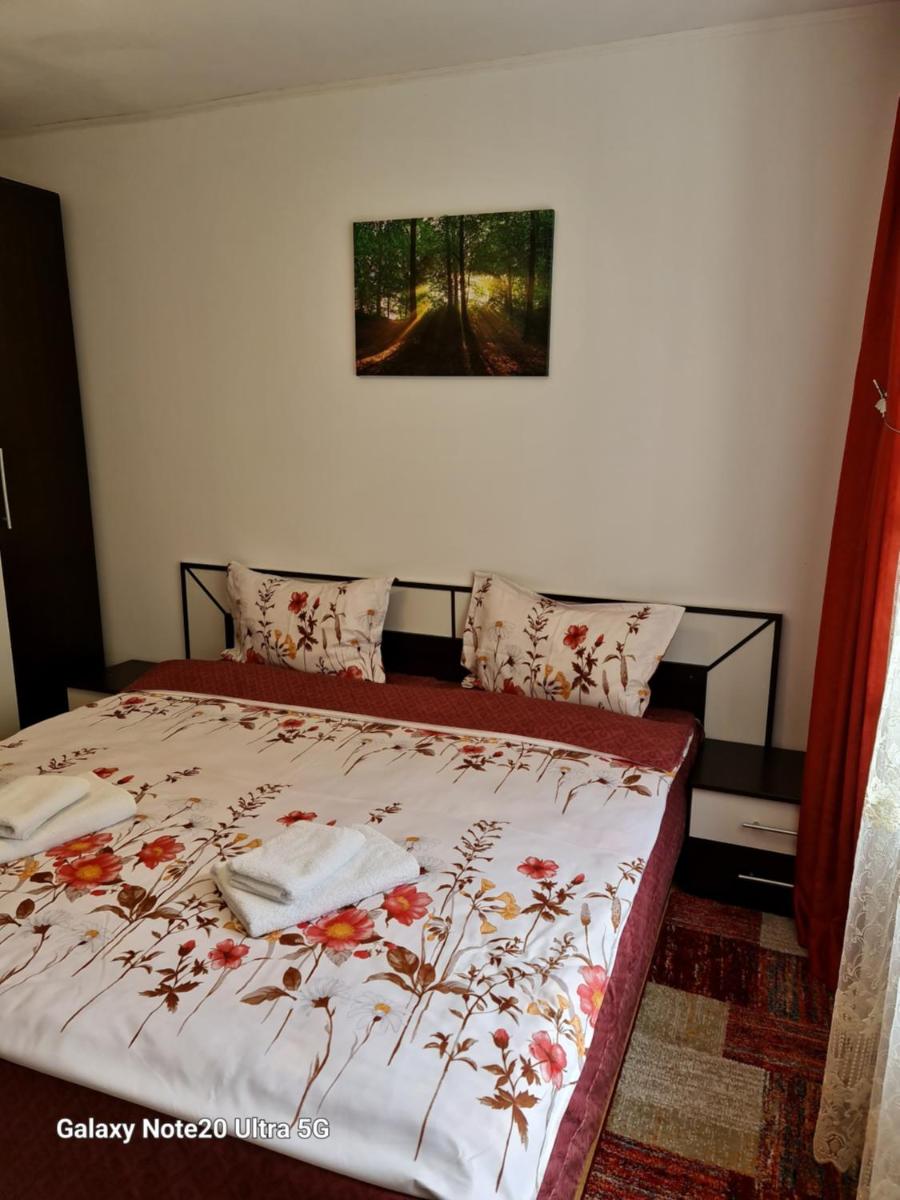 Apartament Doina
