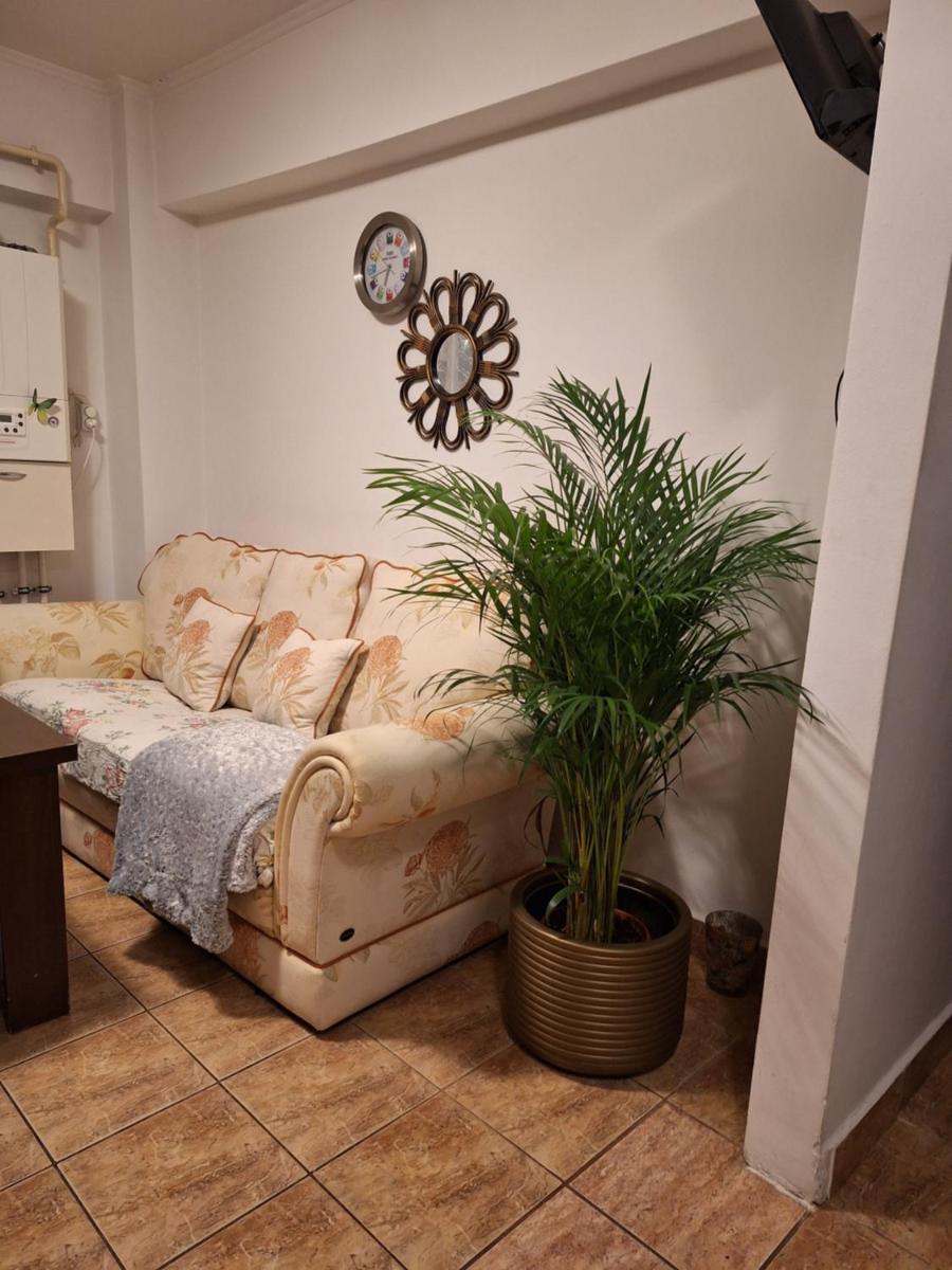 Apartament Florina