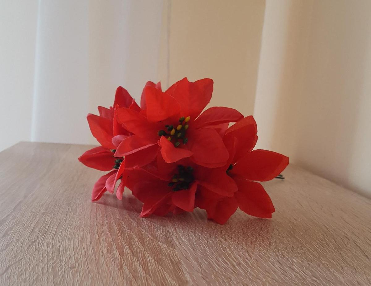 Apartament Gia