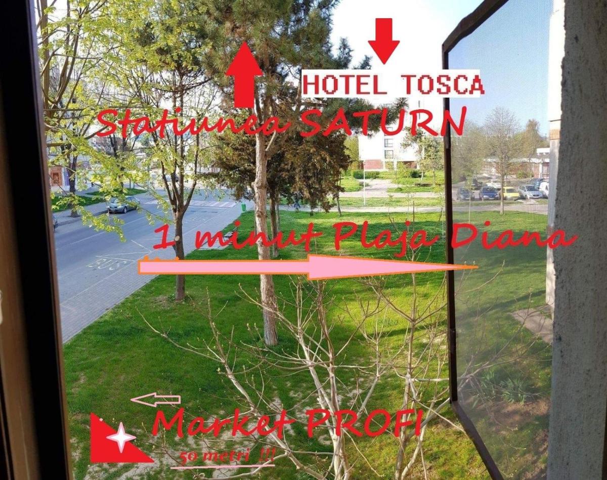 Apartament La Malul Marii-Plaja DIANA