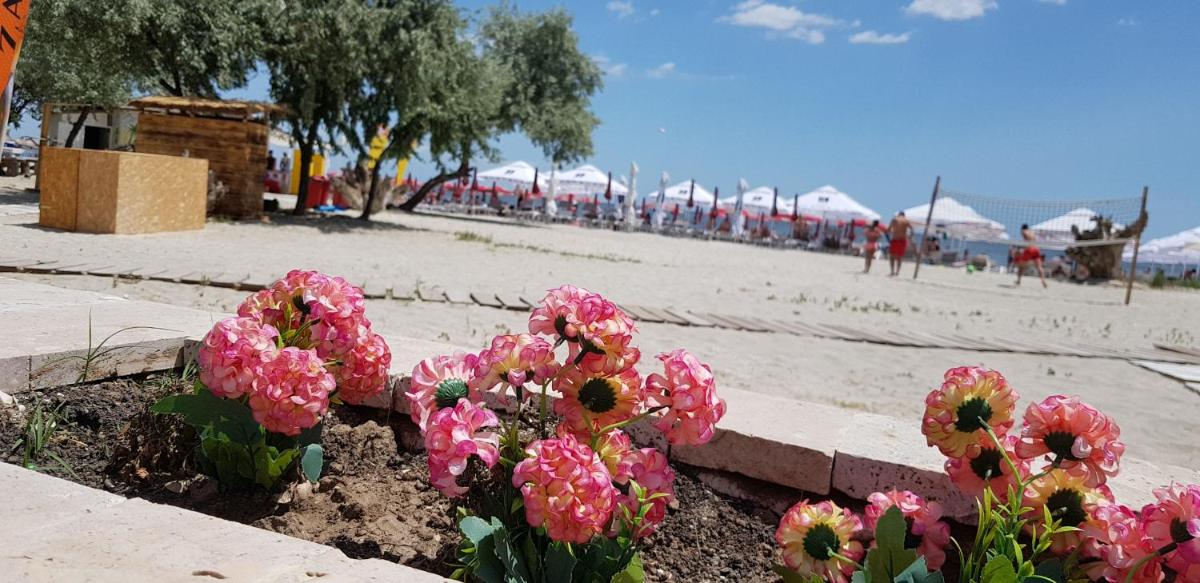 Apartament Rapane-Mamaia Nord