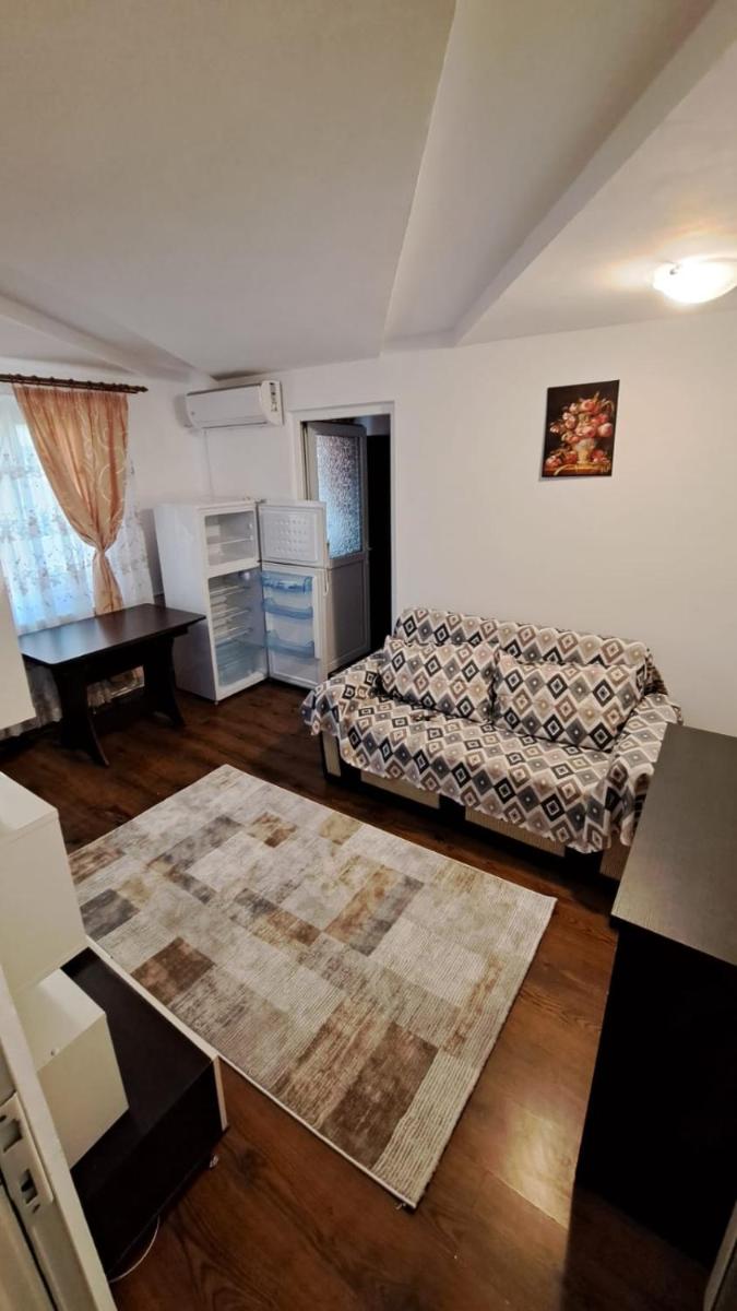 Apartament Rareș