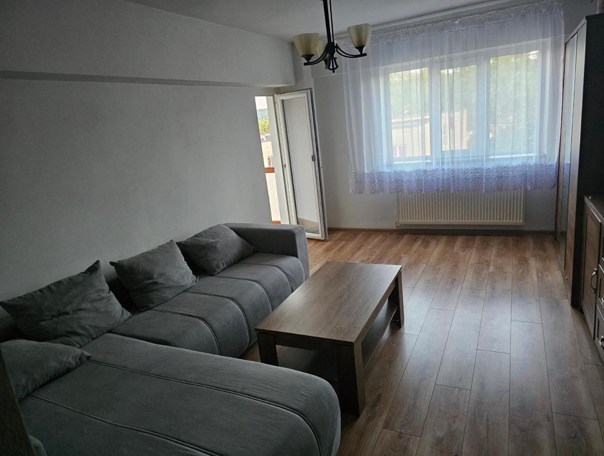 Apartament Strehaia