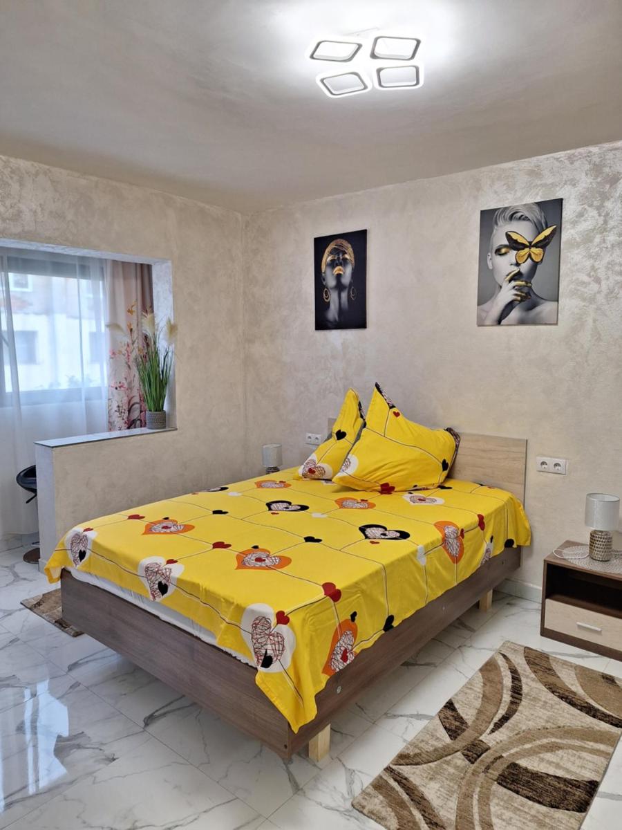 Apartament TIMEEA Baile Herculane