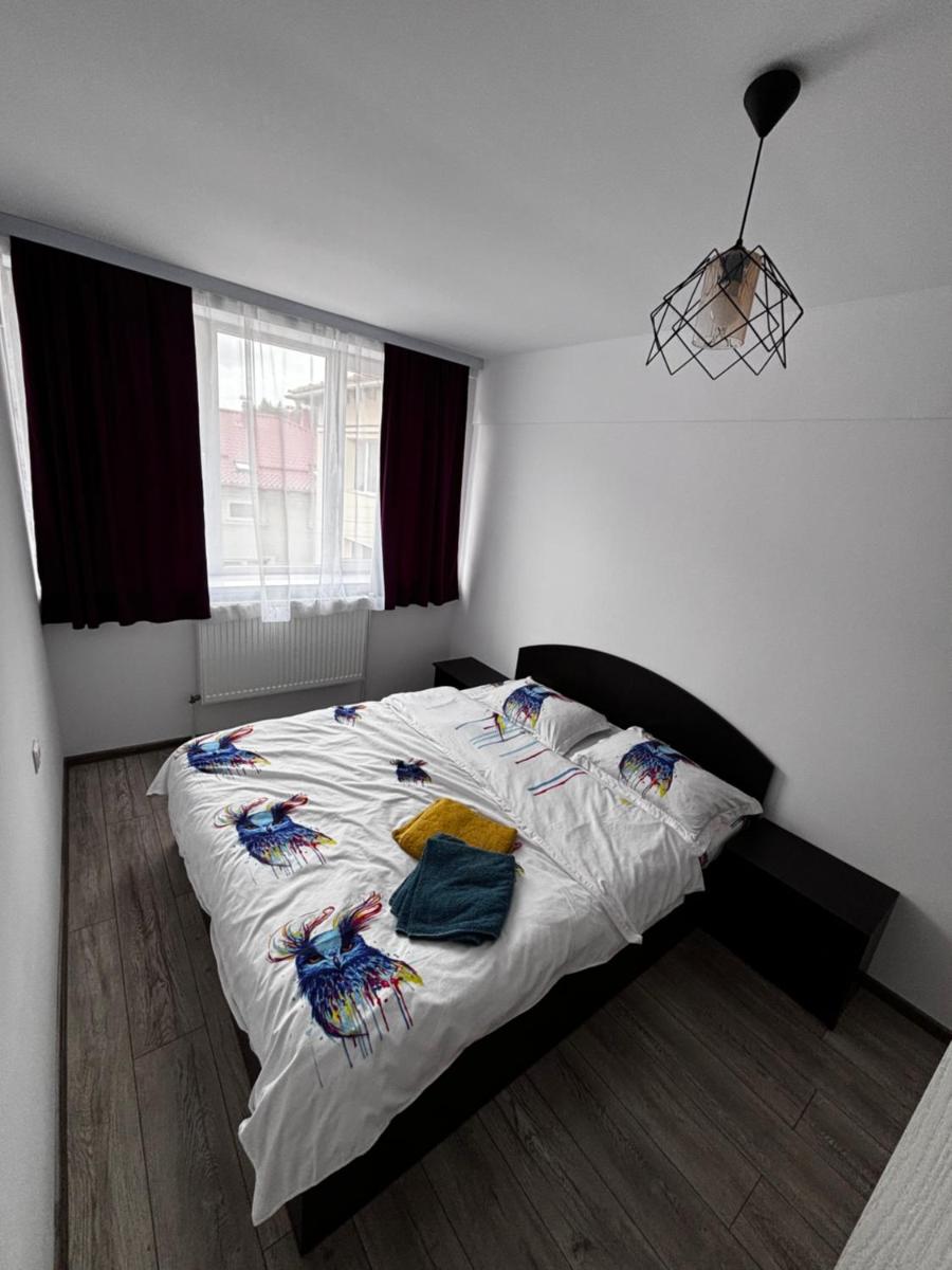 Apartament ultracentral Vatra Dornei