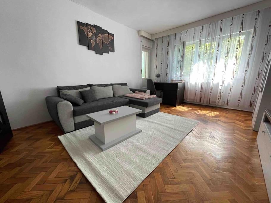 Apartament zonă centrală Punctele cardinale -Take Ionescu Timișoara