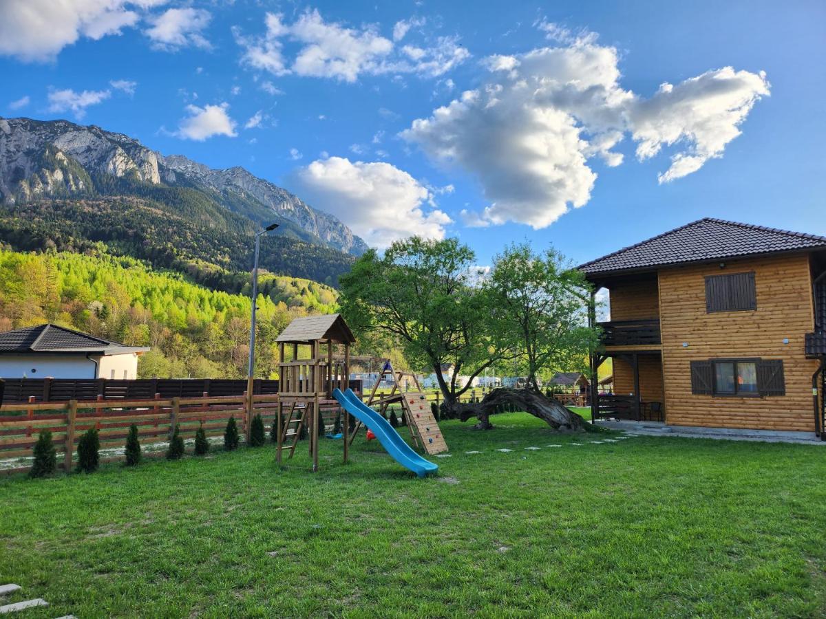 Apartamente Creasta Craiului