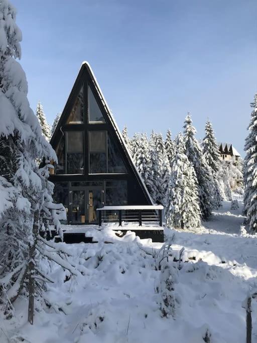 Black Chalet Apuseni