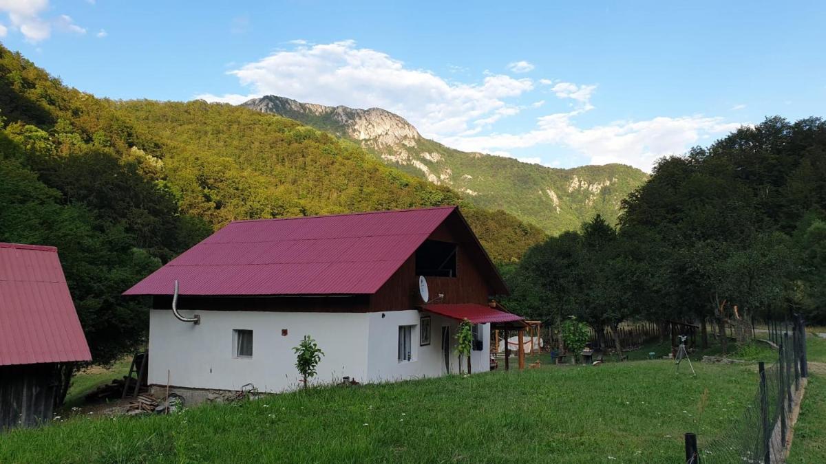 Cabana lui Foardă