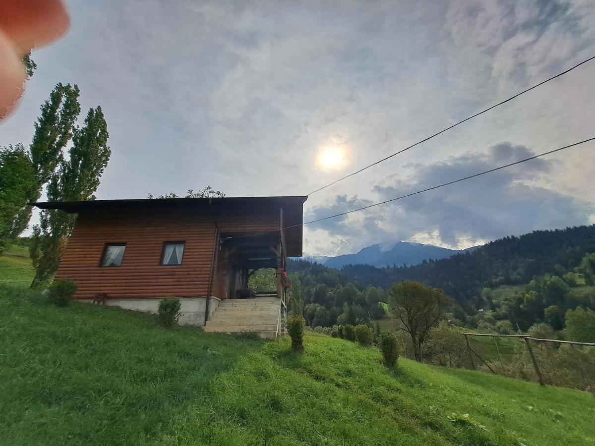 CABANA MERISORULUI