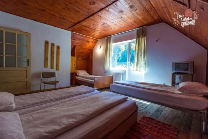 Cabana Valea Stanciului