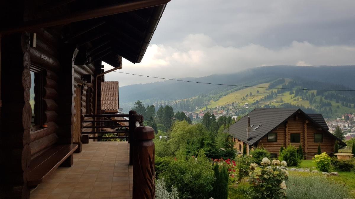 Cabana vultur2 strada popeni