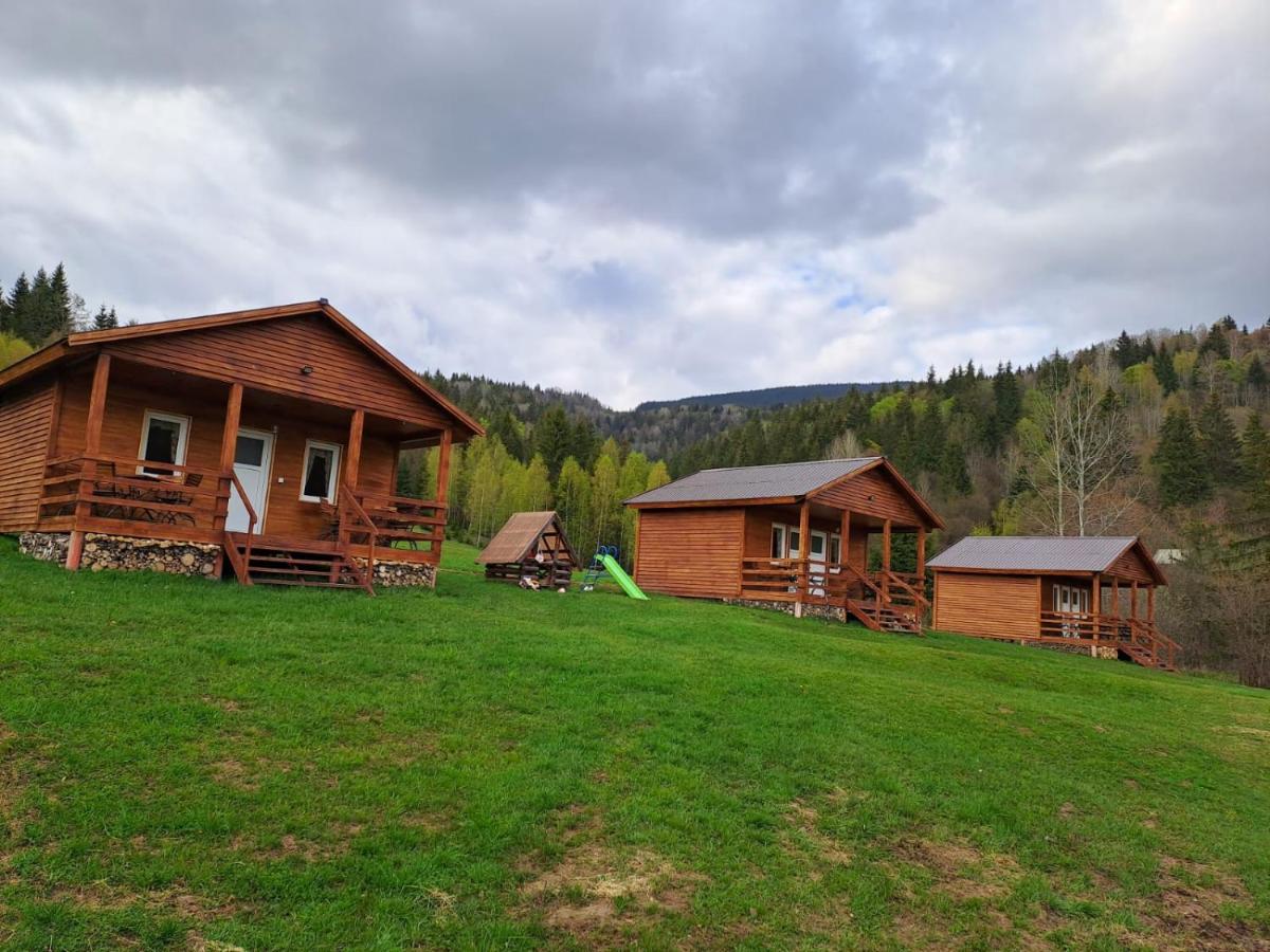 Cabanele Valea Bradului