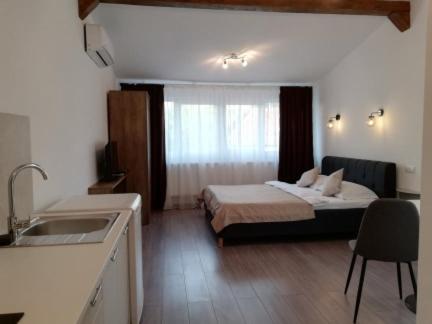 Cara Studio cu parcare - Cluj-Napoca zona Republicii