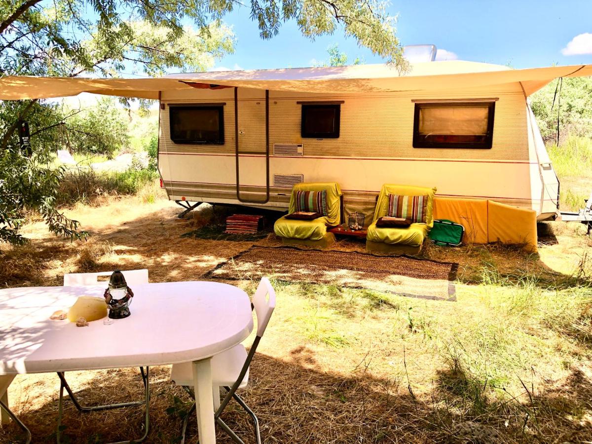 Caravan on the beach, pet friendly