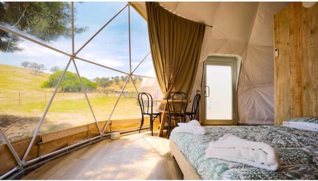 Caravans Park & GLAMPING TENTS in the Vineyard