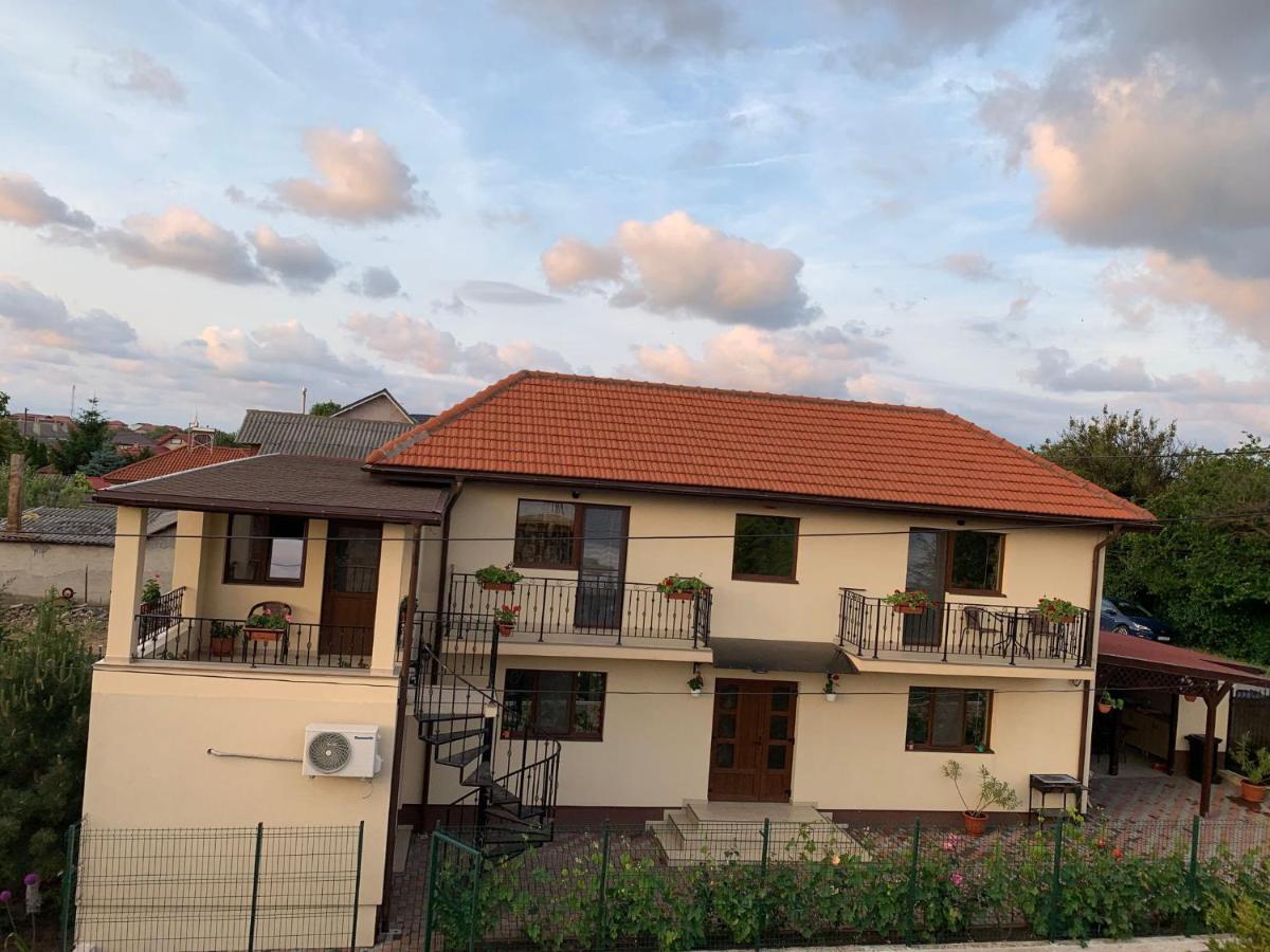 Casa Adina David