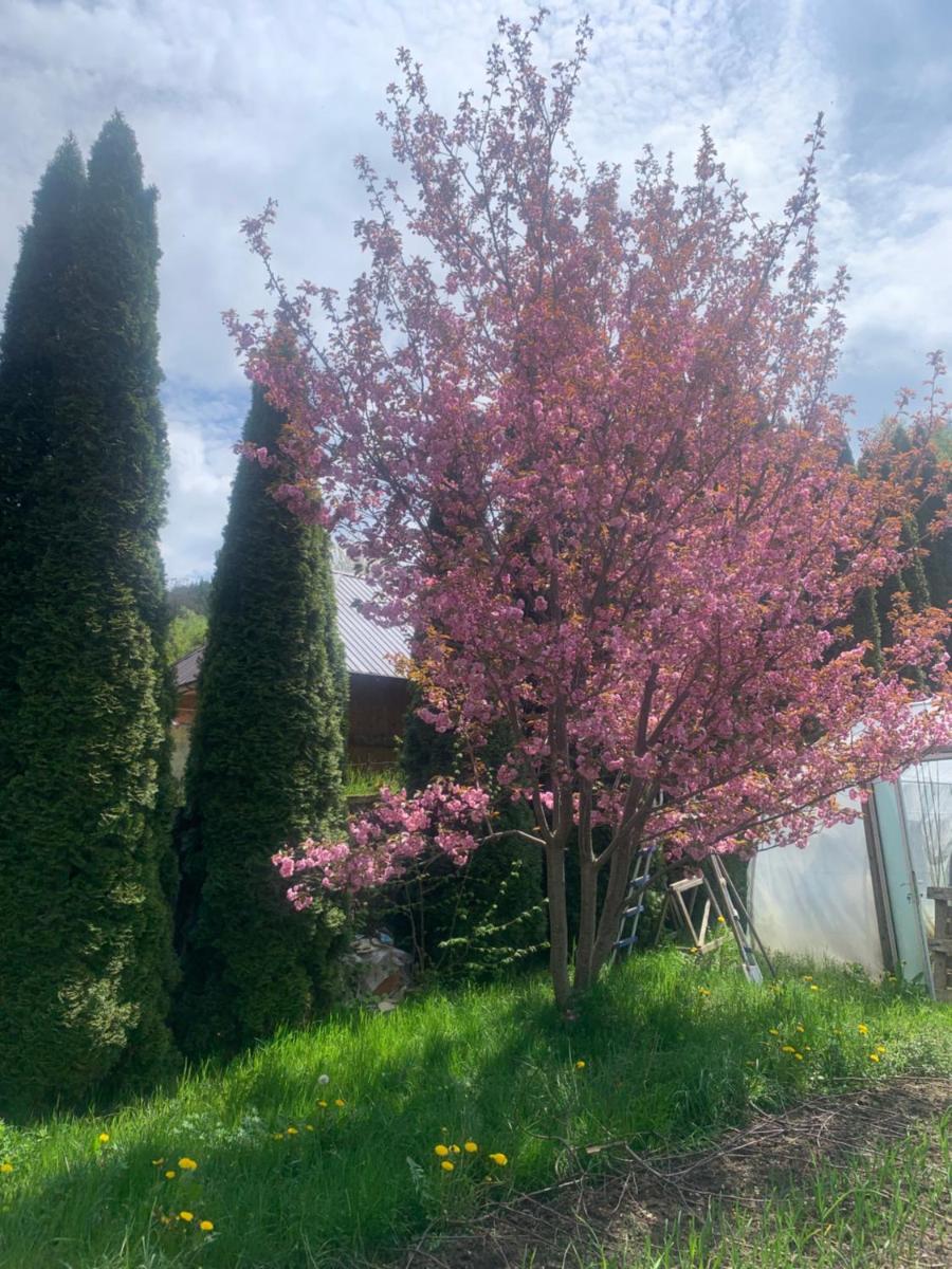 Casă Ana