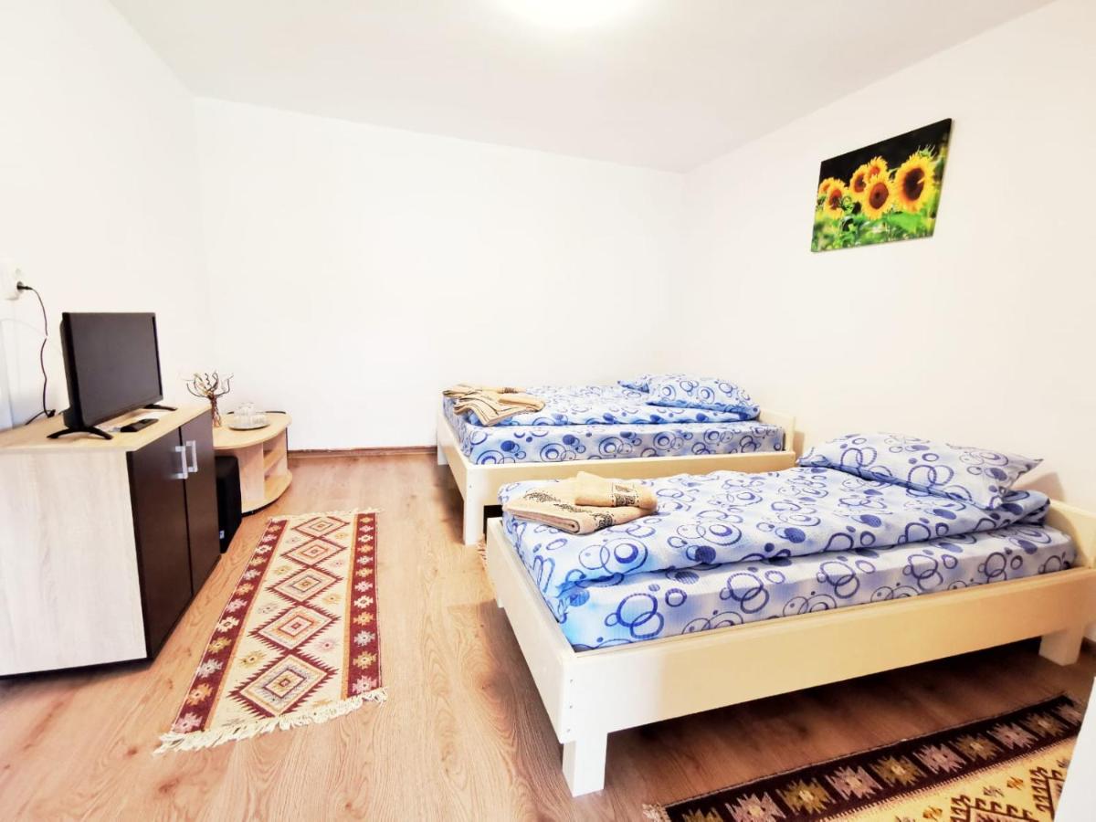 Casa Borcean 2