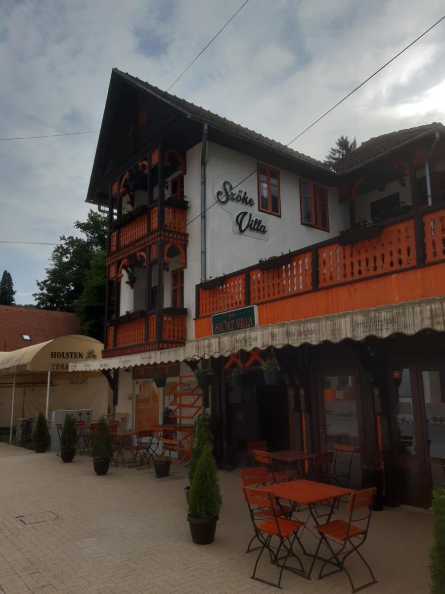 Casa Camelia