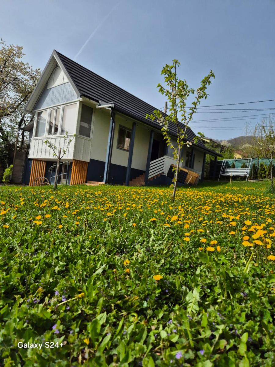 Casa Haiducului