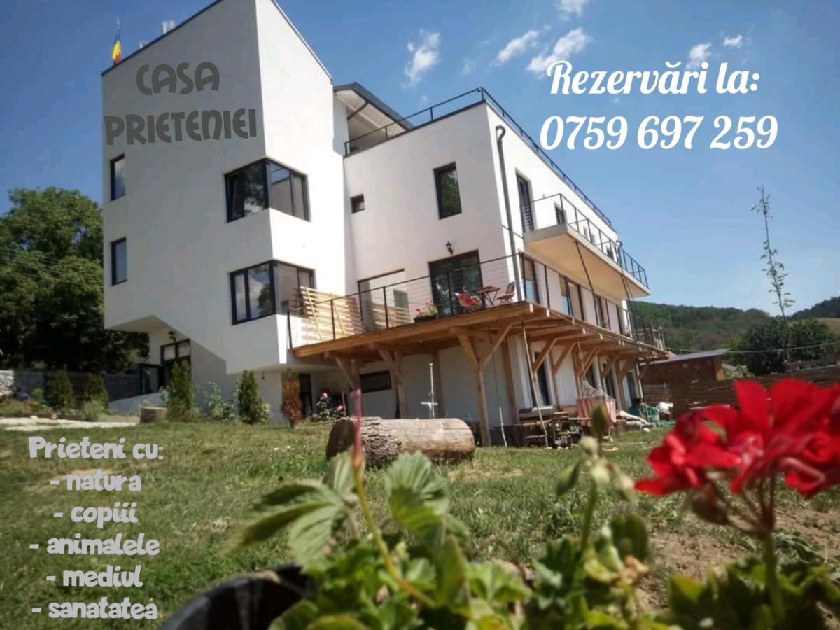 Casa Prieteniei - apartament cu terasa - 3 km Piatra Neamț