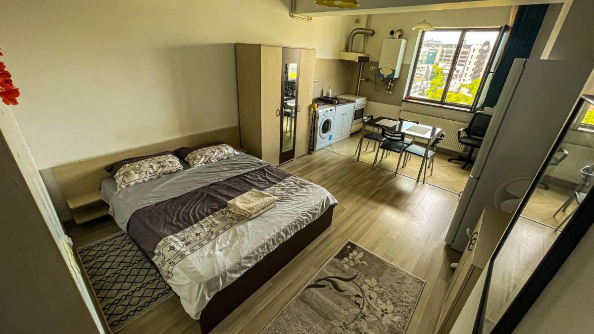 Cazare Iasi Palas Apartment