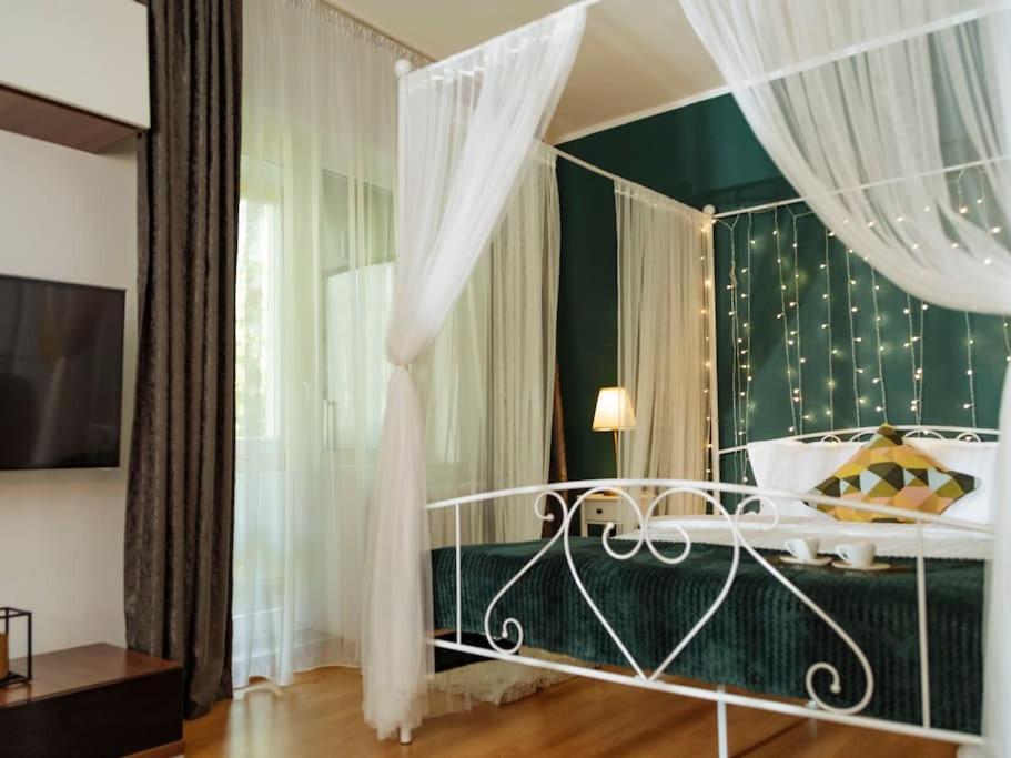 Cosy studio in Vitan
