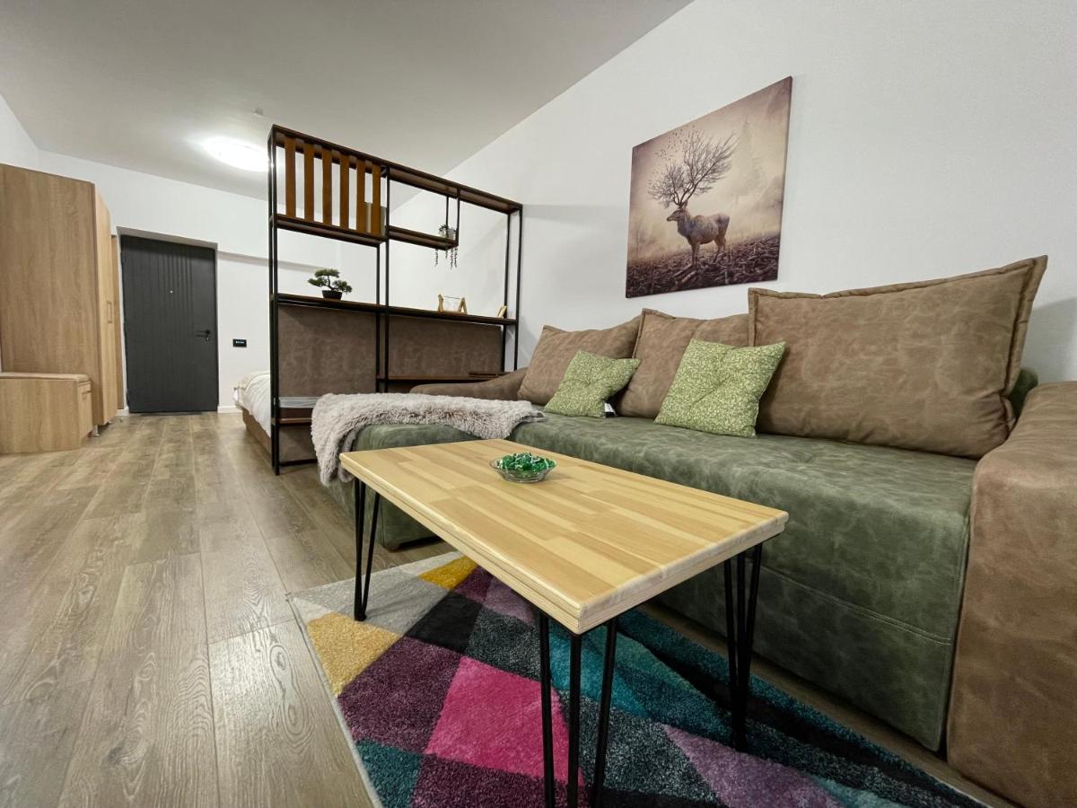 Cozy Bliss Studio in Sinaia w. Free parking