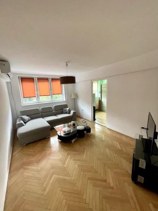Cozy city central apartment