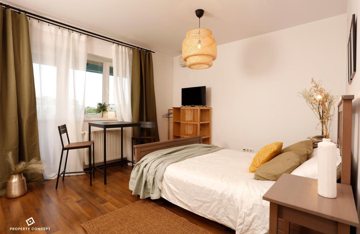 Cozy Concept Studio