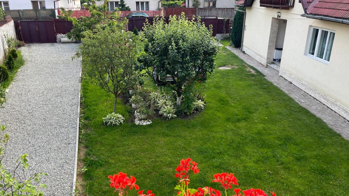 Home Rasnov