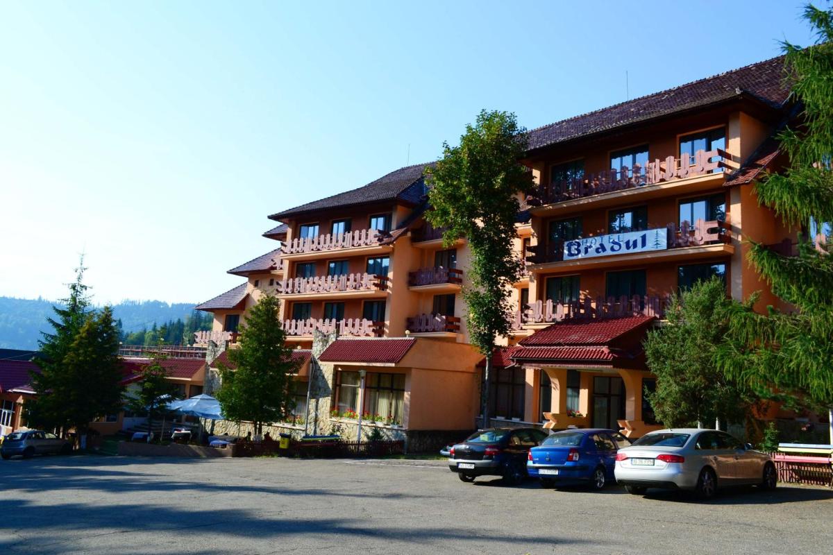 Hotel Bradul