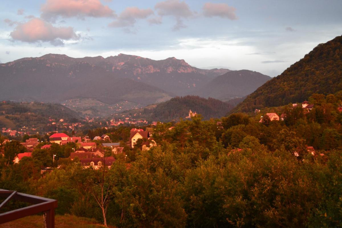 Inspire View