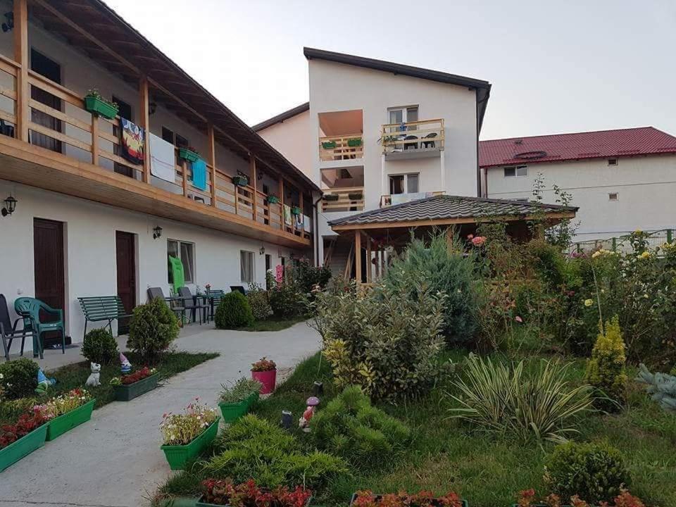 La Nașa Costinești