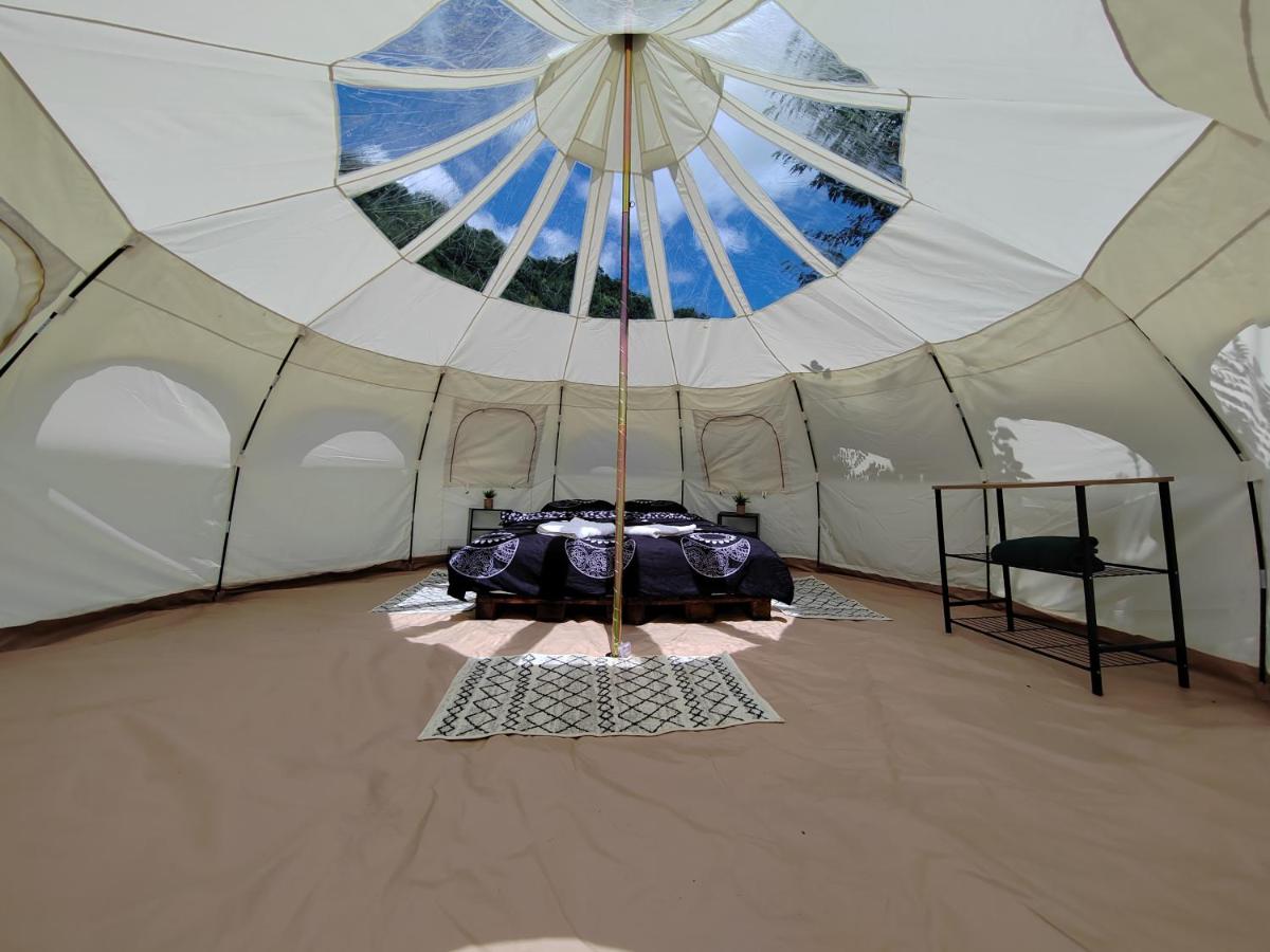 Luna Rock Glamping Brezoi - Blue Scai
