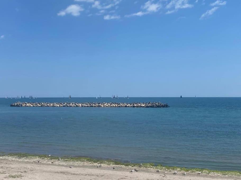 Marina By The Sea