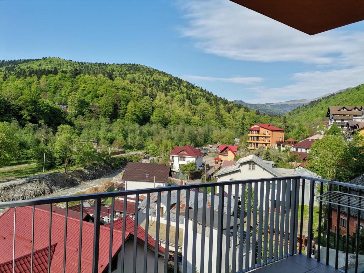 Morning Panoramic View