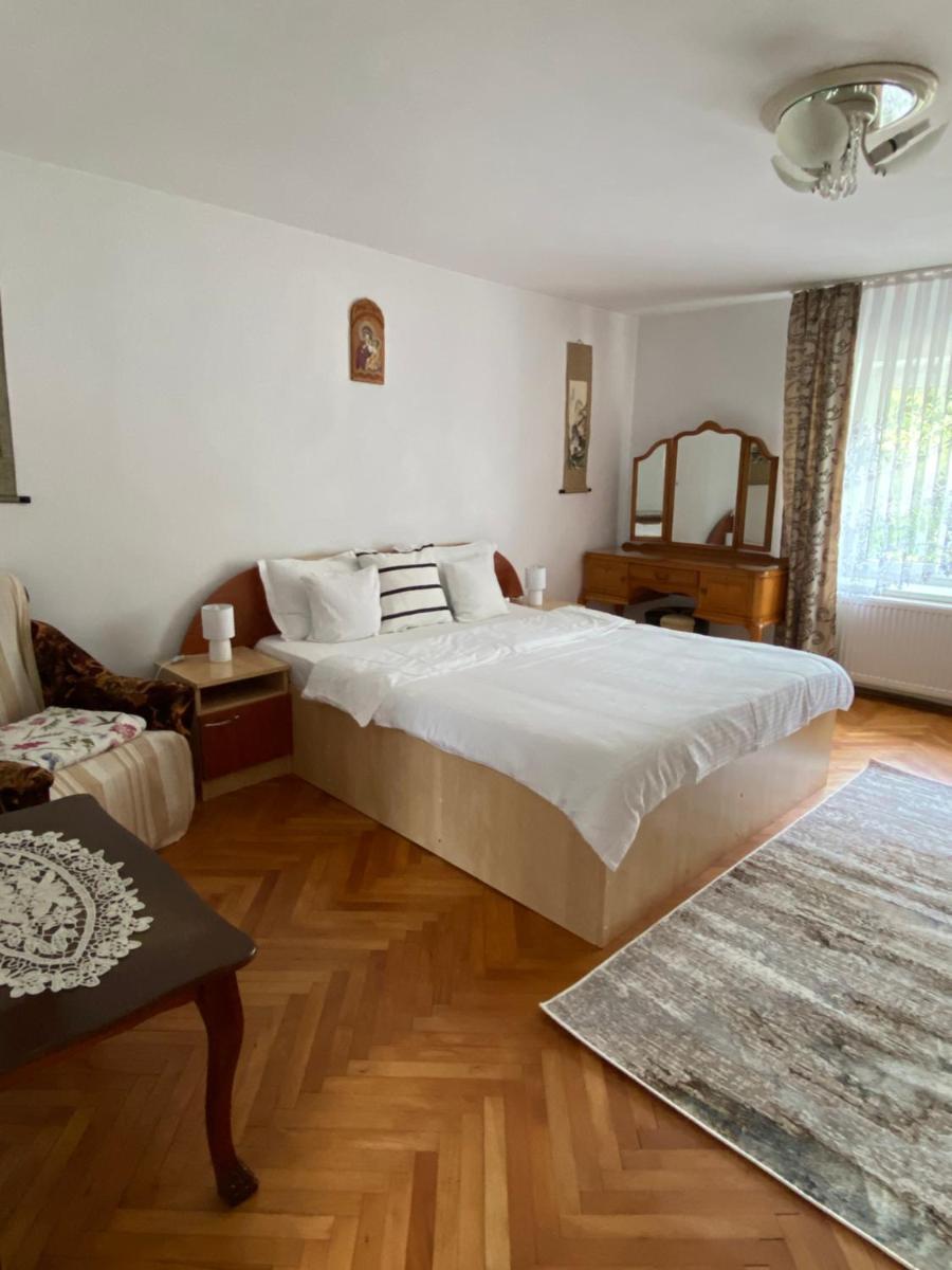 Mountain Countryside House & Courtyard near Sibiu
