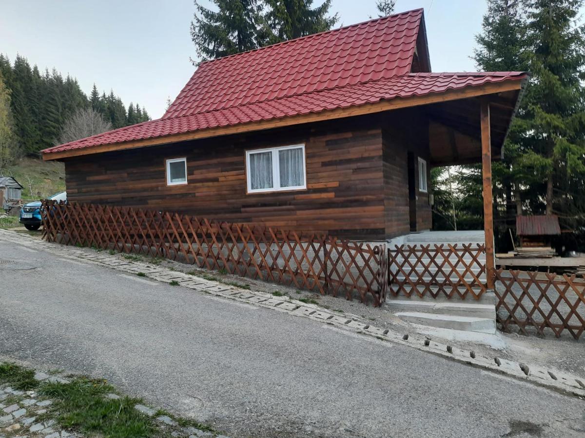 "Művészlak" Vendégház