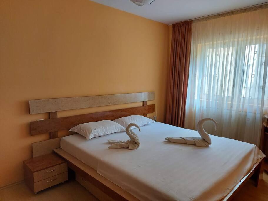 Peace Apartament Timisoara