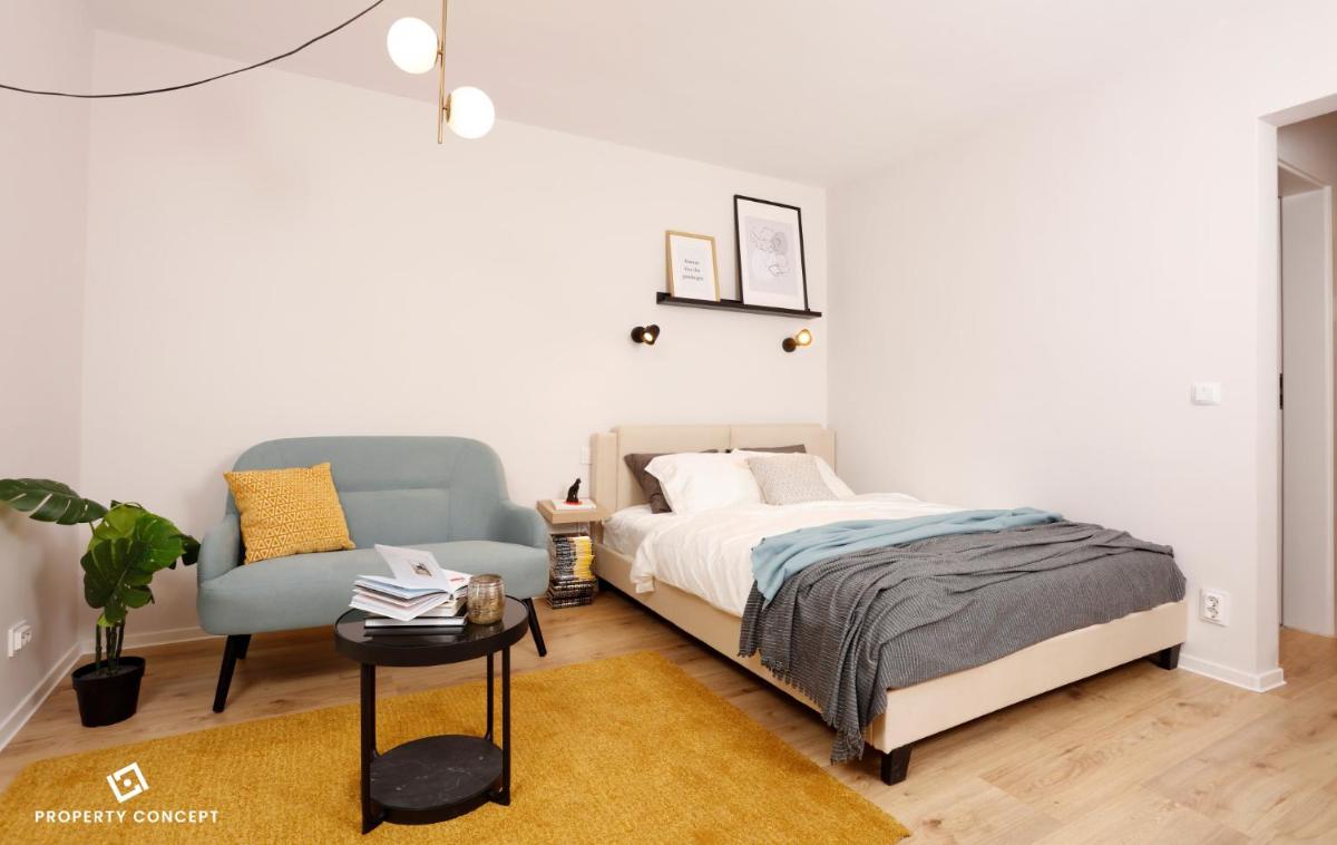 Perfectly Designed Cozy Studio
