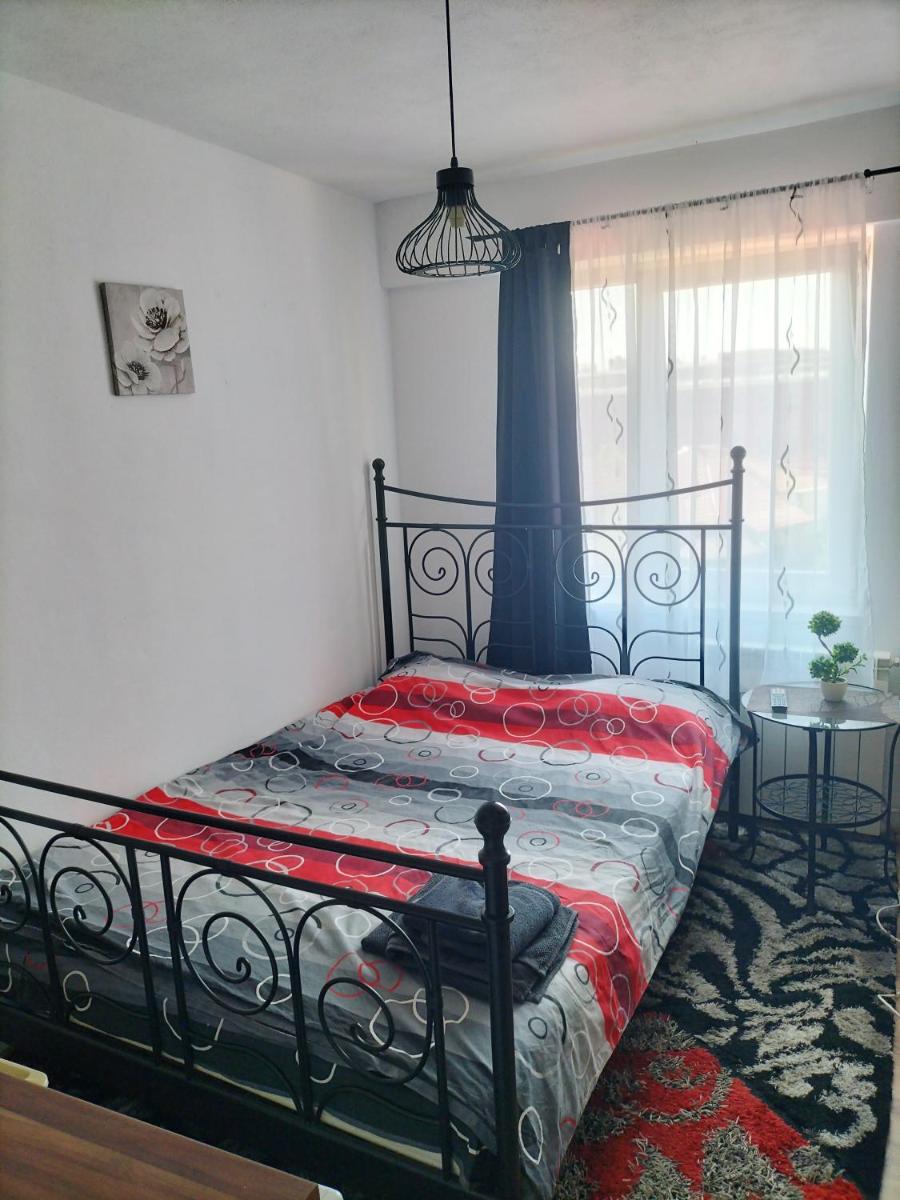 Romana Arad 2