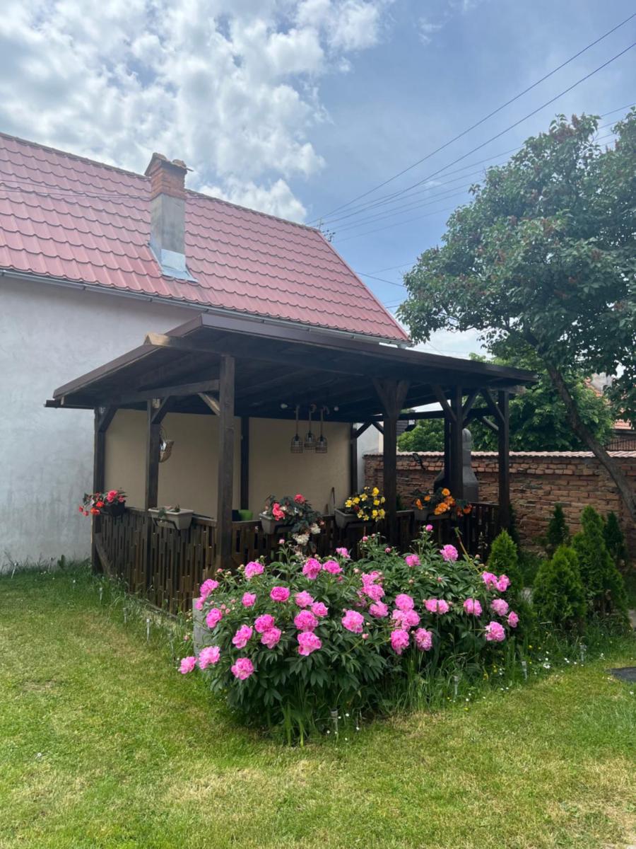 Silver House Rasnov