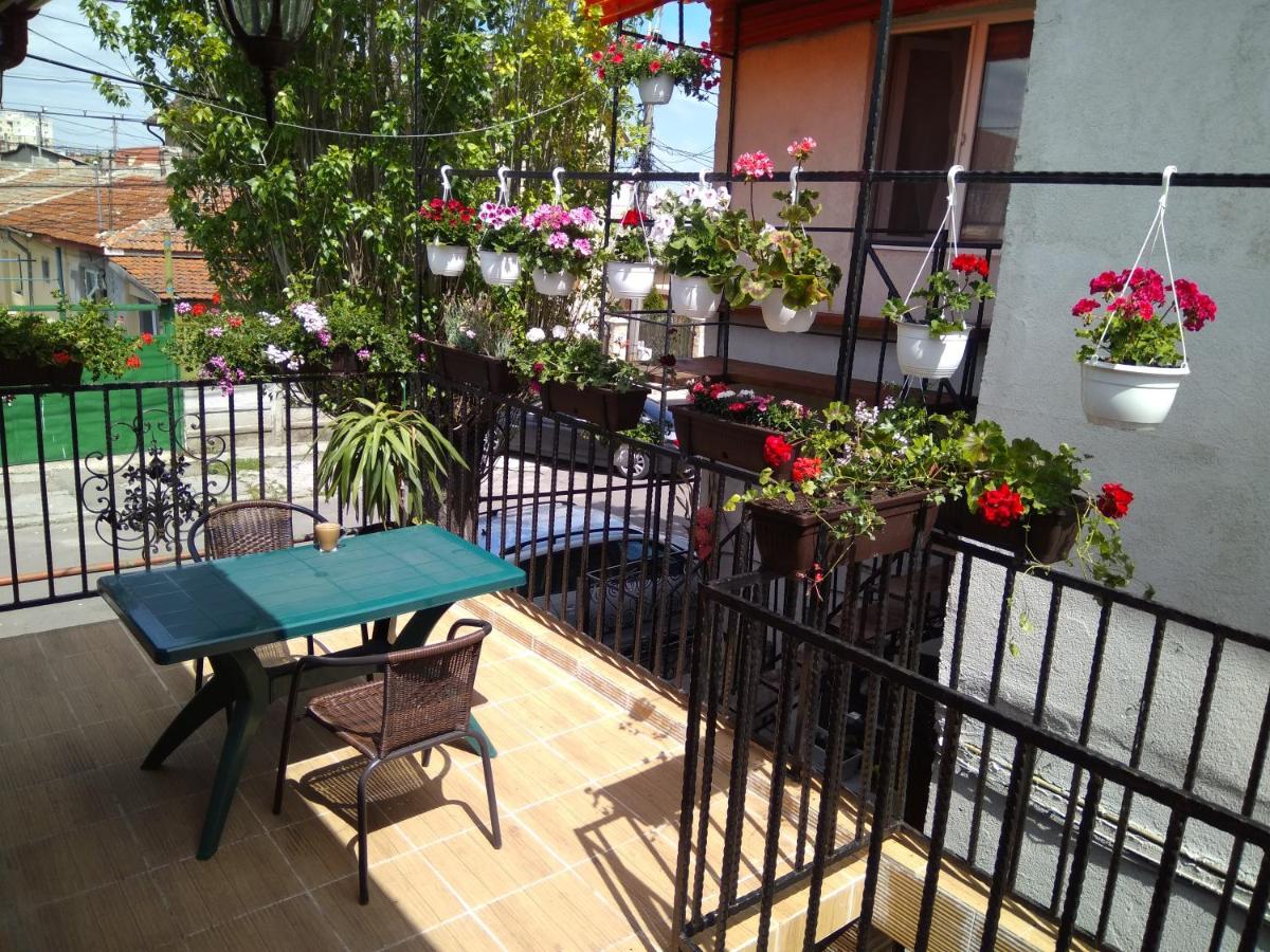 Vila Arisa